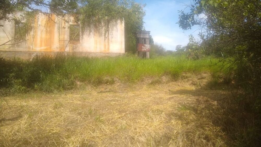 Terreno, 3 hectares - Foto 9