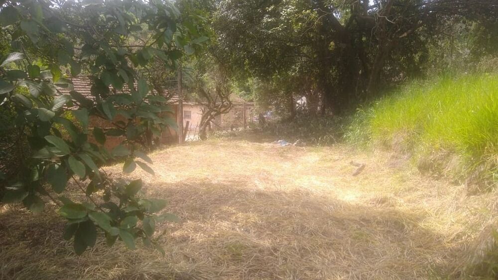 Terreno, 3 hectares - Foto 2