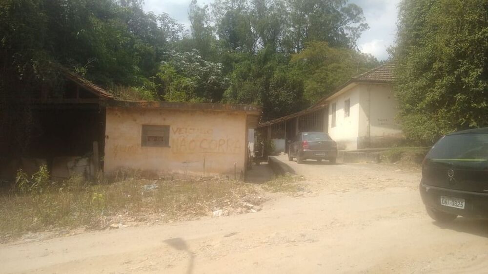 Terreno, 3 hectares - Foto 6