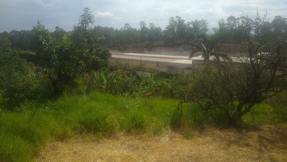 Terreno, 3 hectares - Foto 13