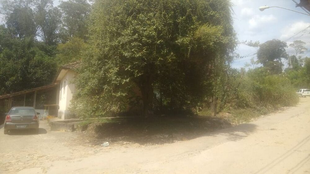 Terreno, 3 hectares - Foto 8