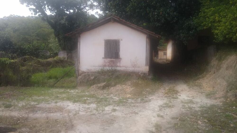 Terreno, 3 hectares - Foto 3