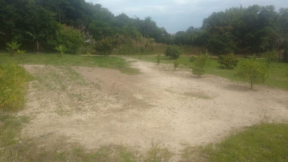 Terreno, 3 hectares - Foto 4