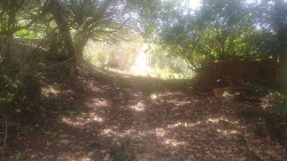 Terreno, 3 hectares - Foto 10