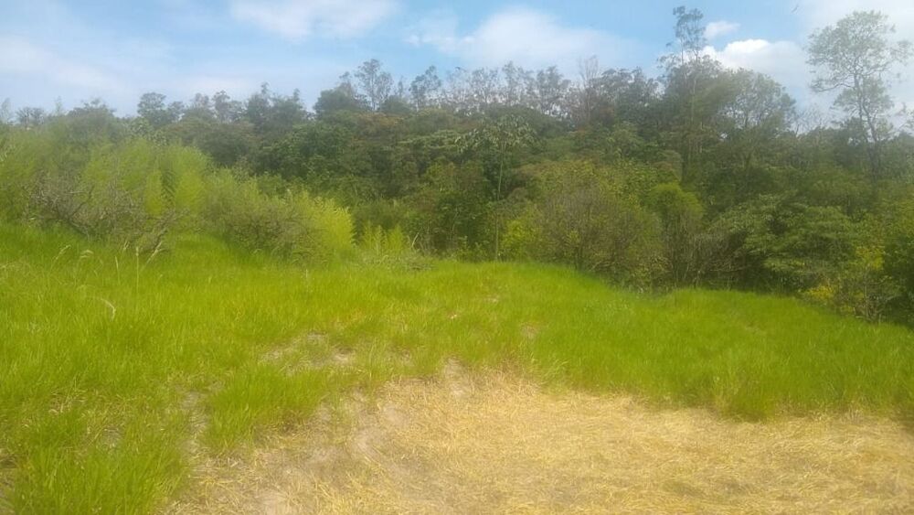 Terreno, 3 hectares - Foto 11