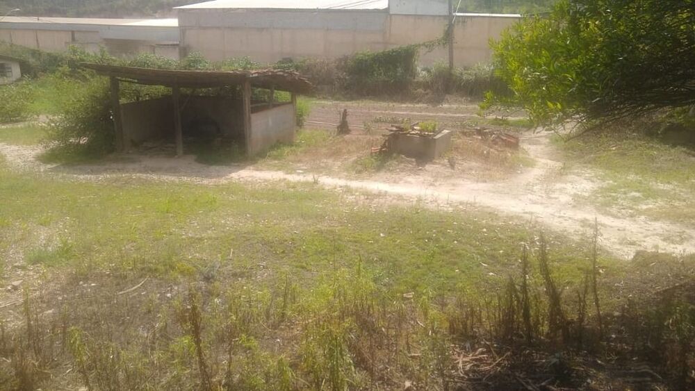 Terreno, 3 hectares - Foto 1