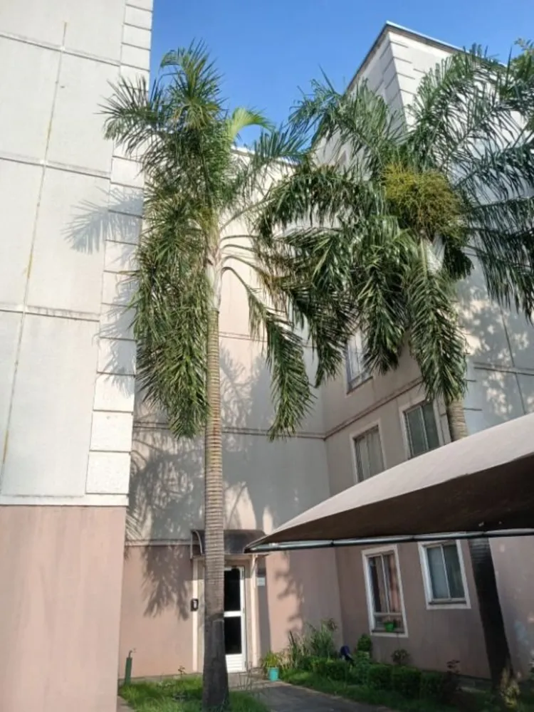 Apartamento, 2 quartos, 41 m² - Foto 6