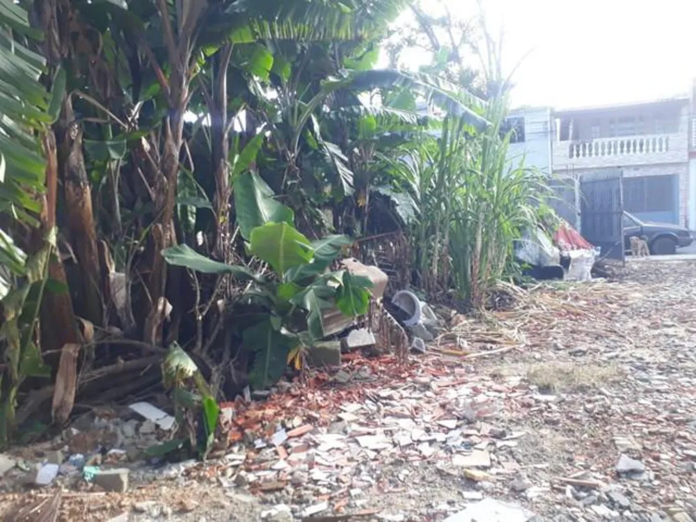 Terreno, 250 m² - Foto 4