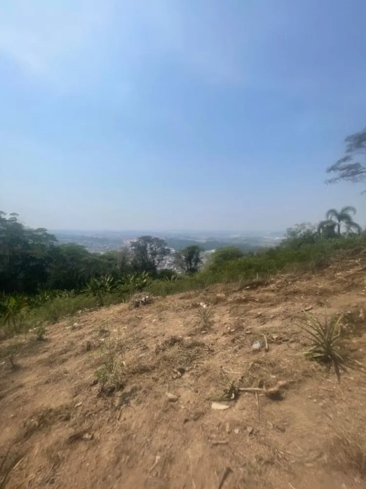 Chácara, 3 quartos, 7193 m² - Foto 23
