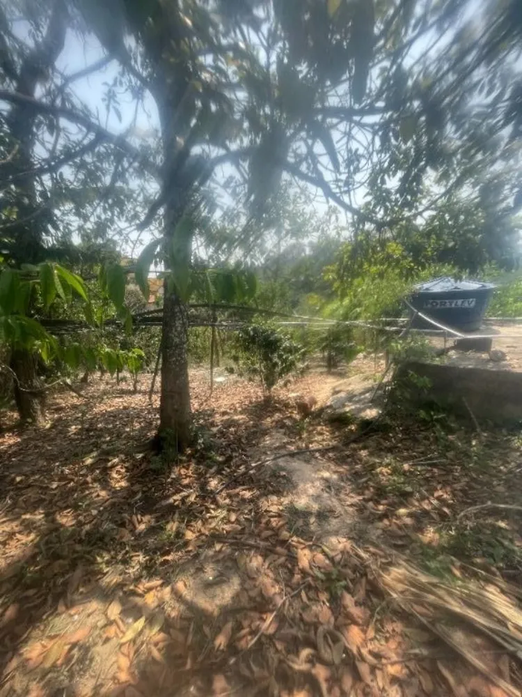 Chácara, 3 quartos, 7193 m² - Foto 21
