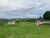 Terreno, 6990 m² - Foto 1