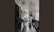 Apartamento, 3 quartos, 99 m² - Foto 1