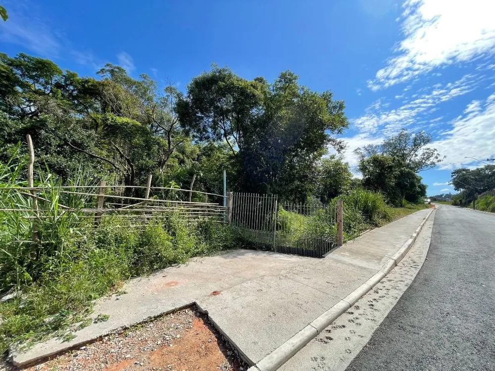 Terreno, 6000 m² - Foto 3