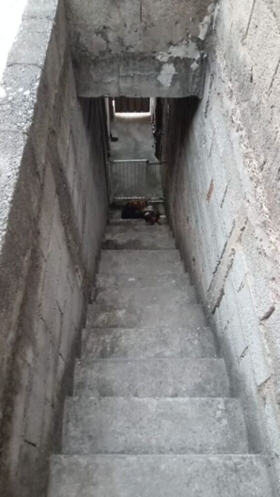 Casa, 2 quartos, 100 m² - Foto 20