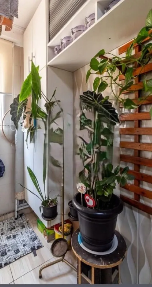 Apartamento, 2 quartos, 49 m² - Foto 3