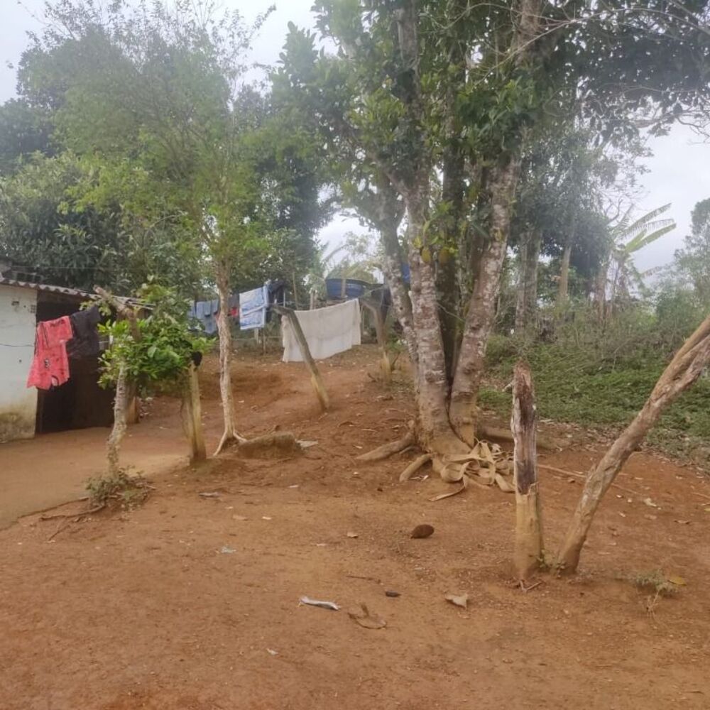 Terreno à venda, 3000m² - Foto 5