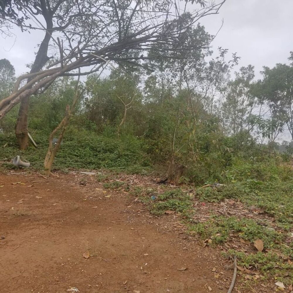 Terreno à venda, 3000m² - Foto 1