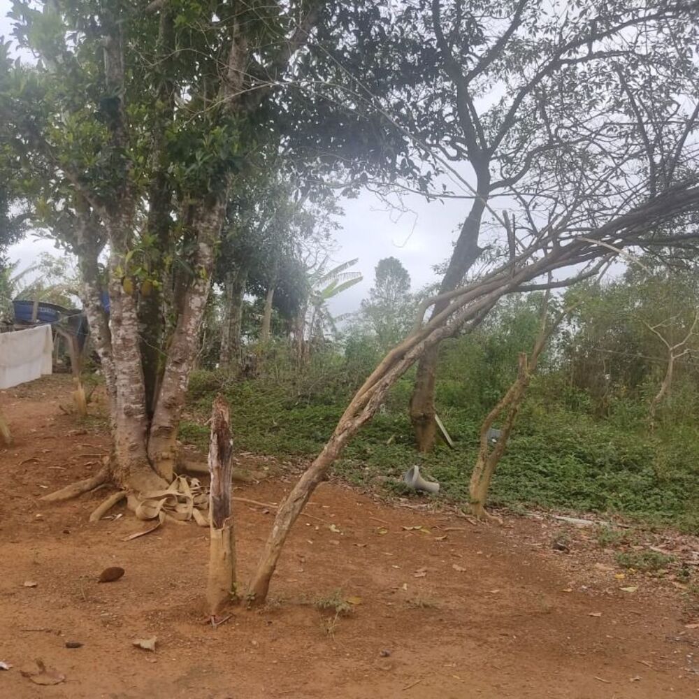 Terreno à venda, 3000m² - Foto 3