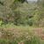 Terreno, 3000 m² - Foto 2