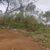 Terreno, 3000 m² - Foto 1