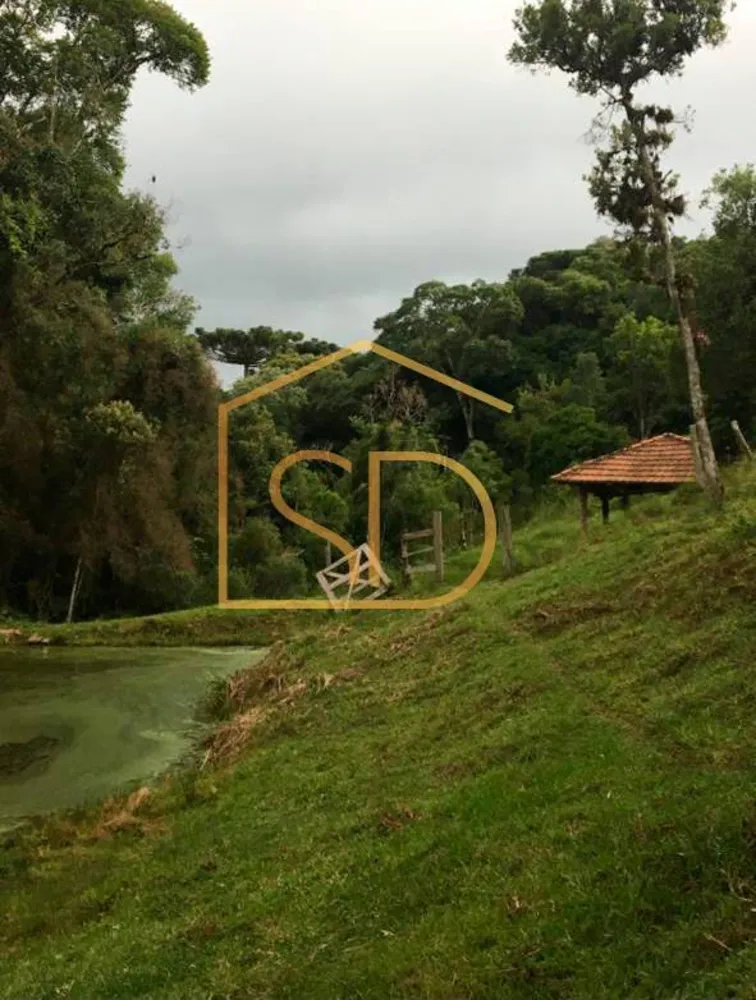 Sítio - Foto 6