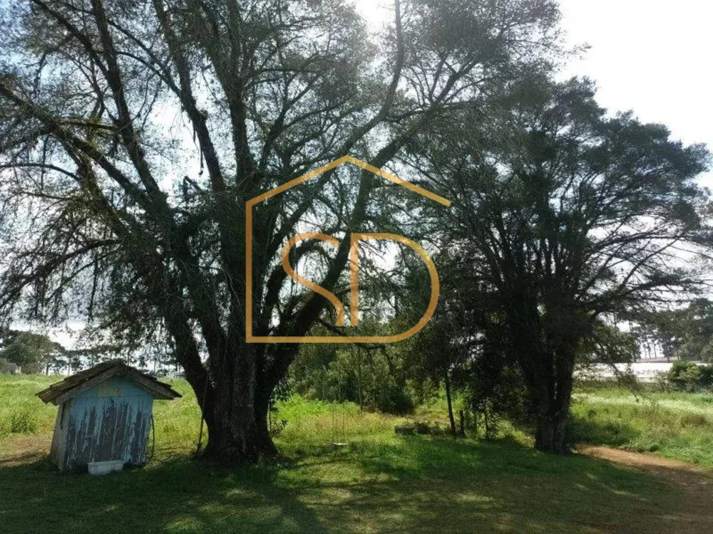 Terreno - Foto 11