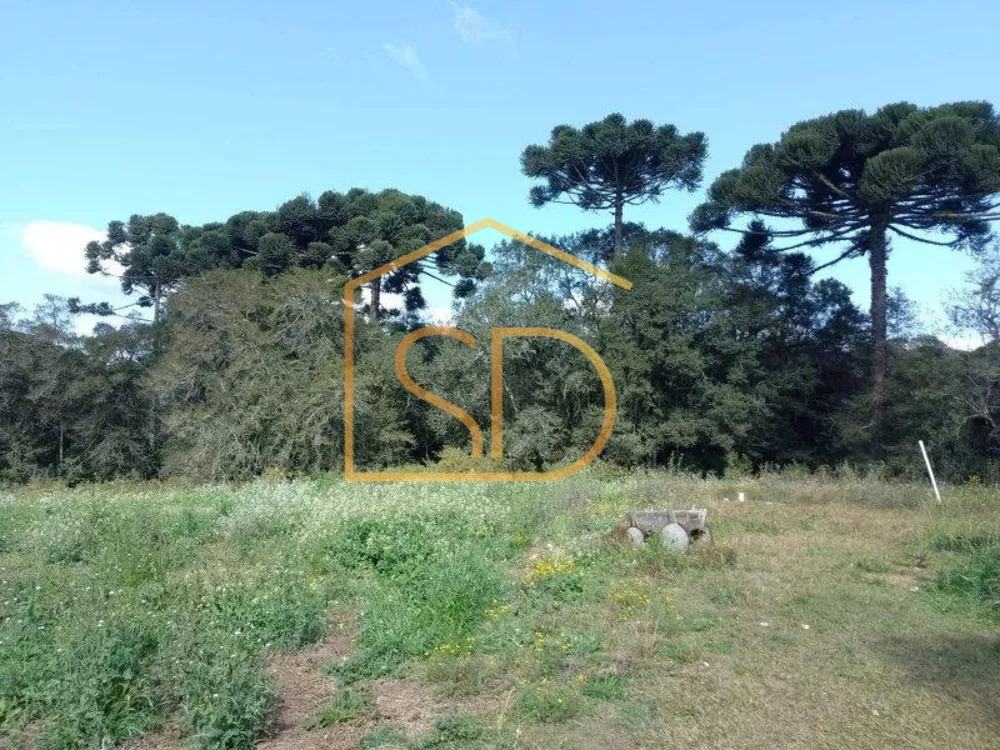 Terreno - Foto 9
