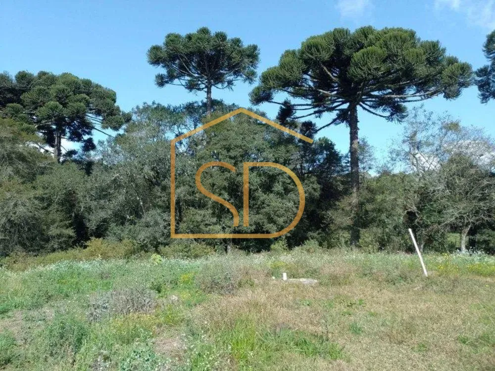 Terreno - Foto 10