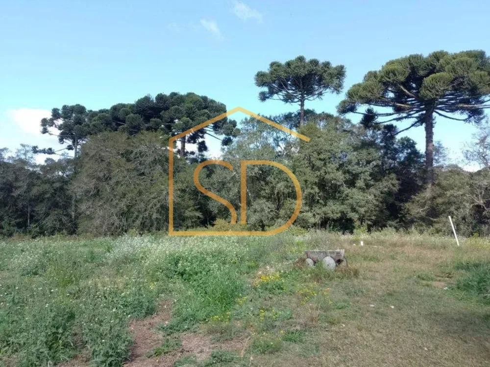Terreno - Foto 7