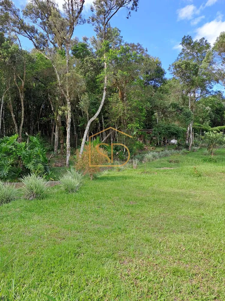 Chácara, 4 quartos - Foto 4