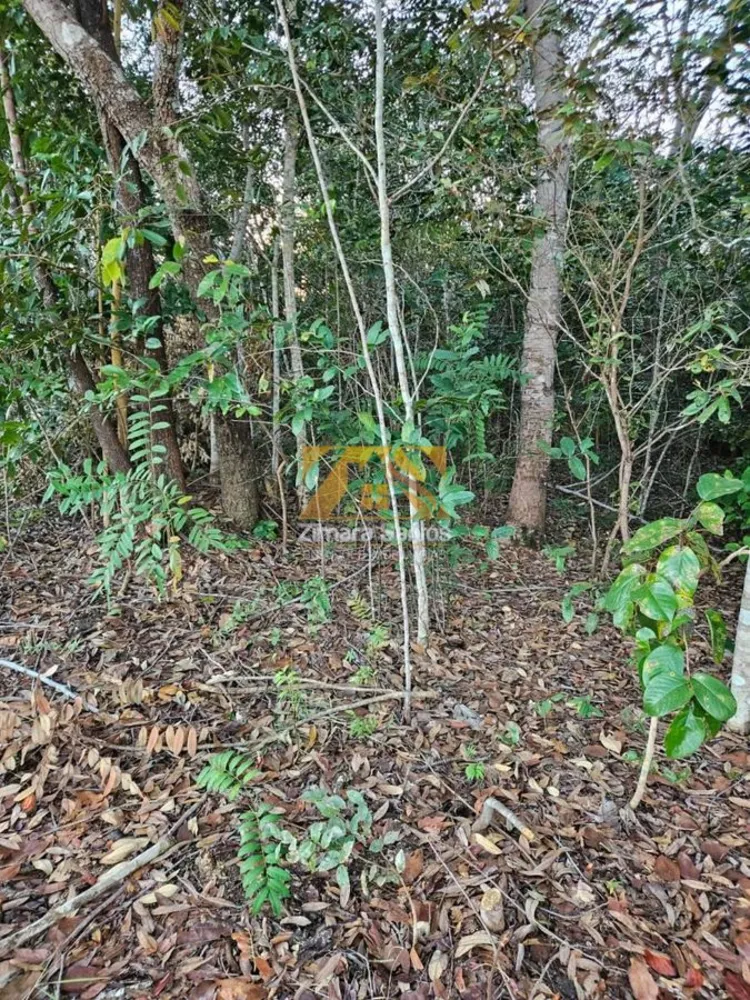 Chácara, 1 quarto, 12 hectares - Foto 6