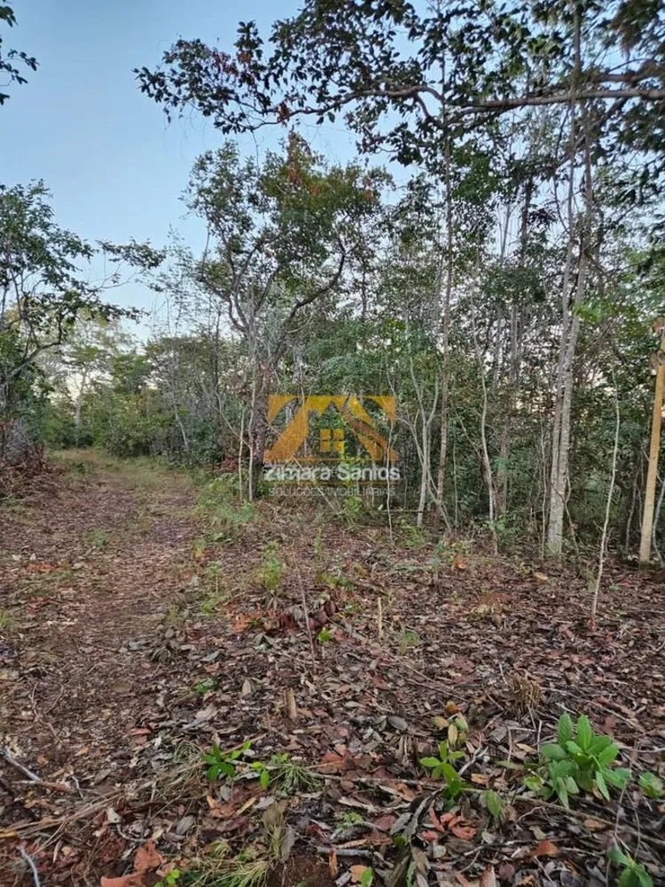 Chácara, 1 quarto, 12 hectares - Foto 3