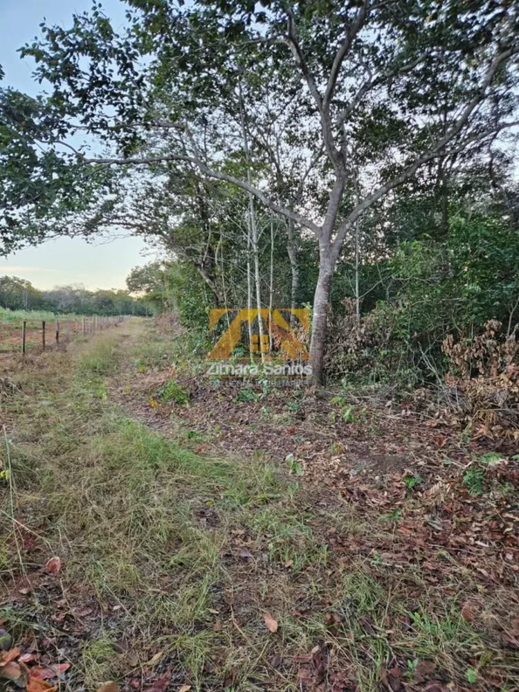 Chácara, 1 quarto, 12 hectares - Foto 8