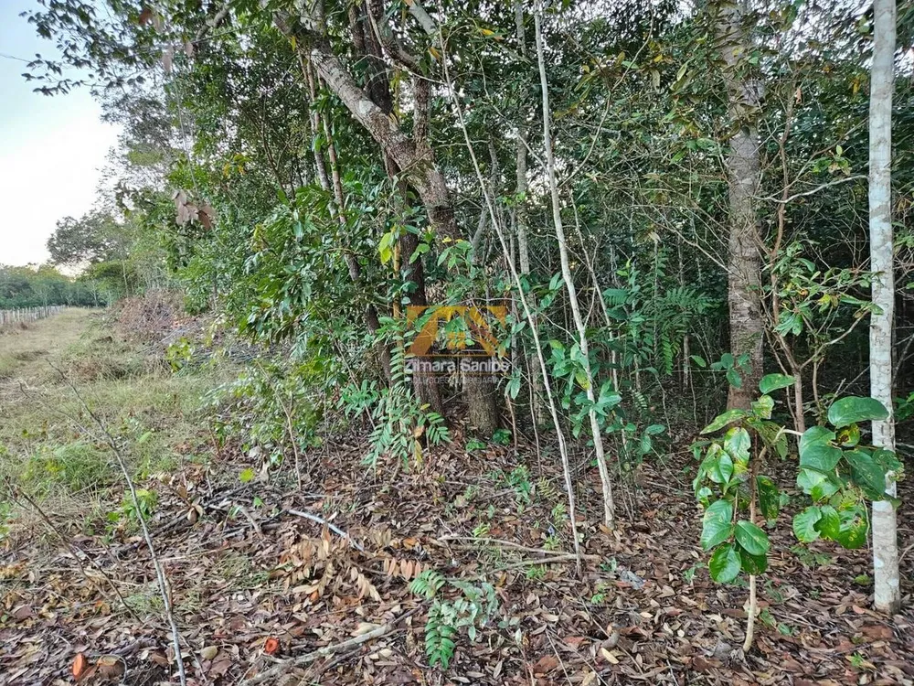 Chácara, 1 quarto, 12 hectares - Foto 10