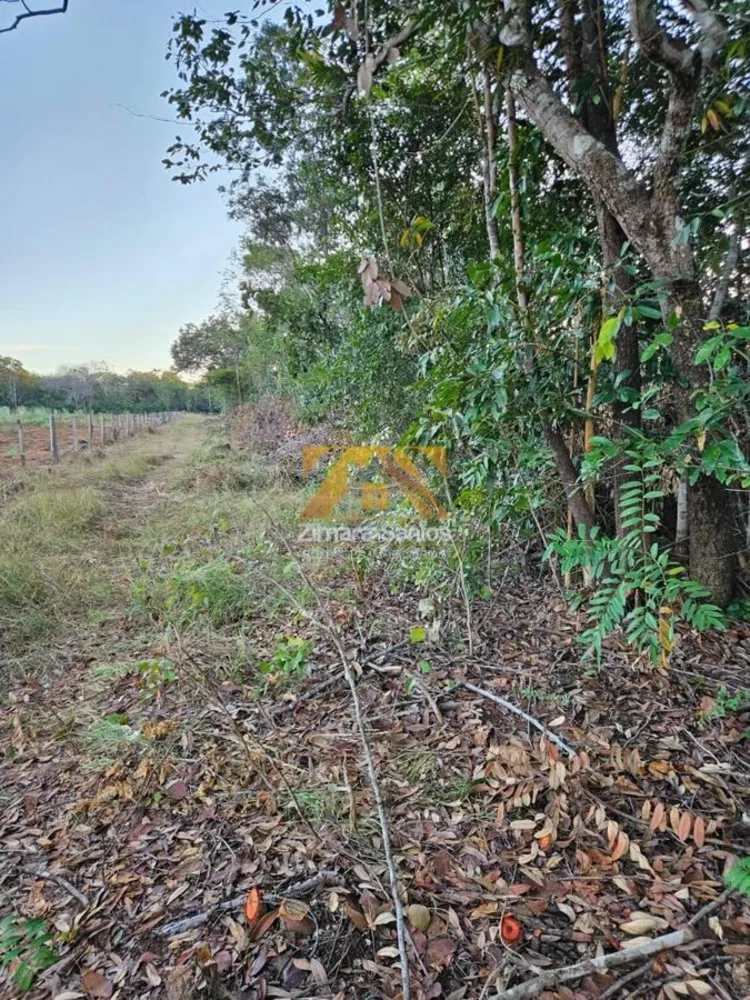 Chácara, 1 quarto, 12 hectares - Foto 11