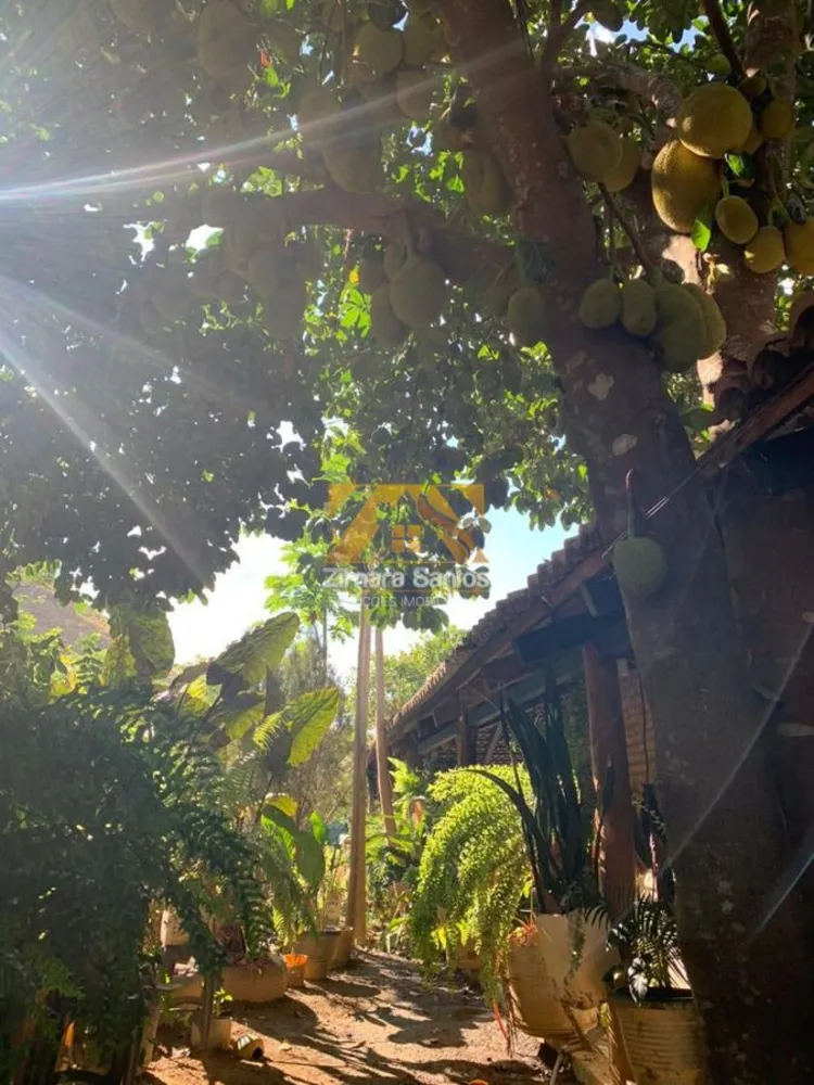 Fazenda, 97 hectares - Foto 4