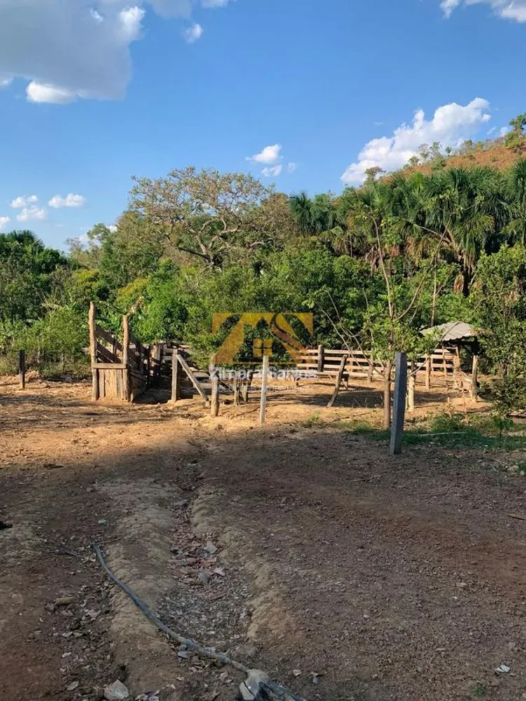 Fazenda, 97 hectares - Foto 6