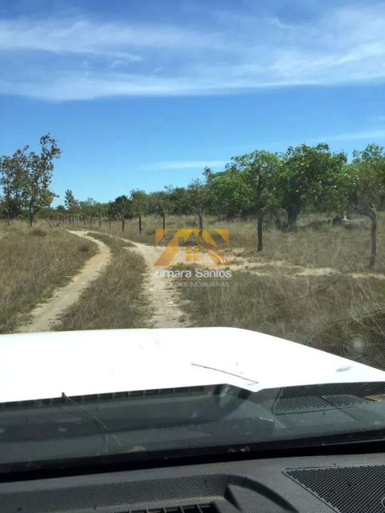 Fazenda à venda com 1 quarto, 1m² - Foto 6