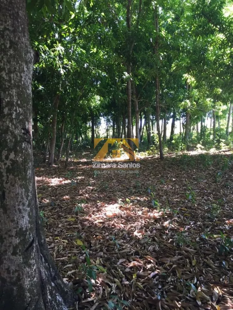 Fazenda à venda com 1 quarto, 1m² - Foto 8