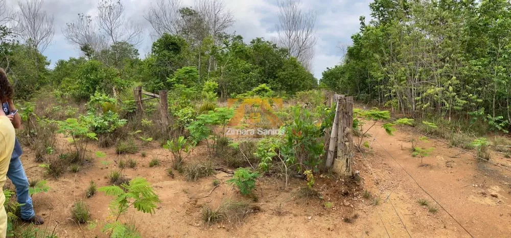 Fazenda à venda com 1 quarto, 1m² - Foto 2