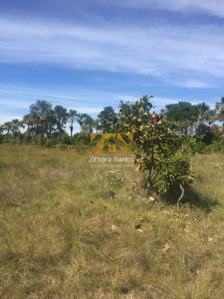 Fazenda à venda com 1 quarto, 1m² - Foto 3