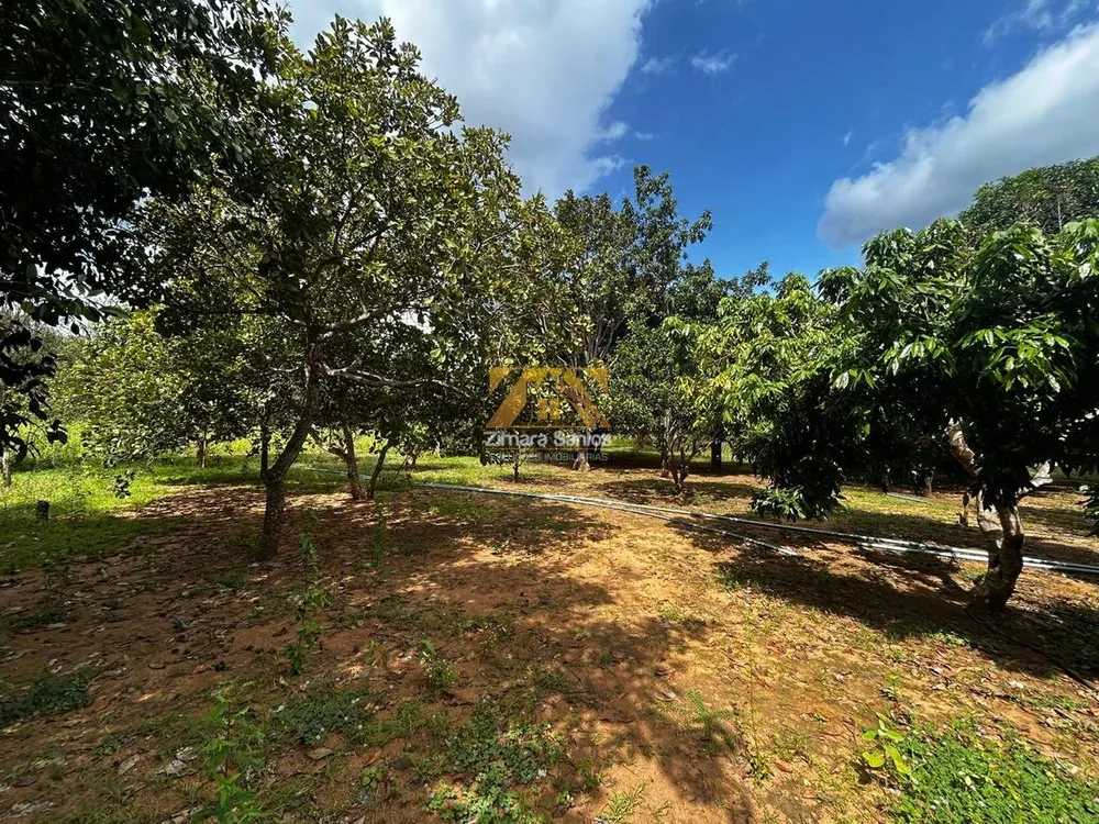 Sítio, 4 quartos, 3 hectares - Foto 11