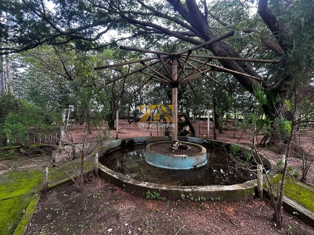 Sítio, 4 quartos, 3 hectares - Foto 3