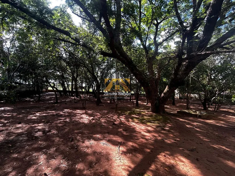 Sítio, 4 quartos, 3 hectares - Foto 8
