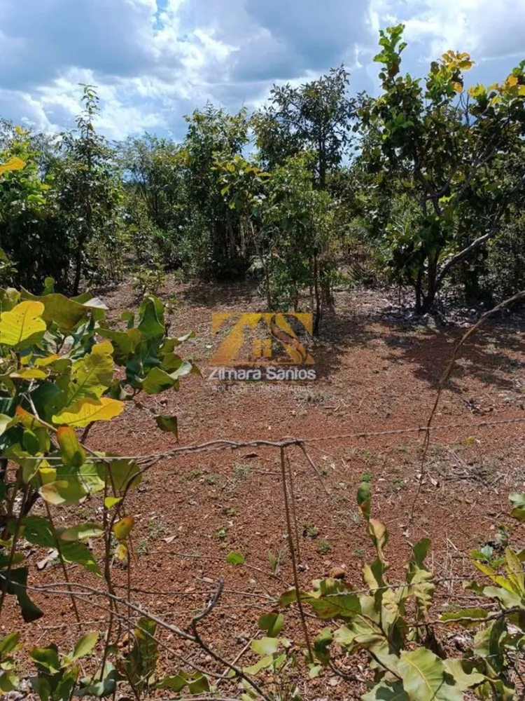 Sítio, 1 quarto, 1 m² - Foto 3