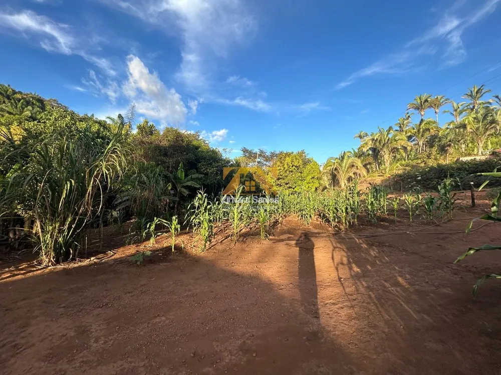 Fazenda, 48 hectares - Foto 7