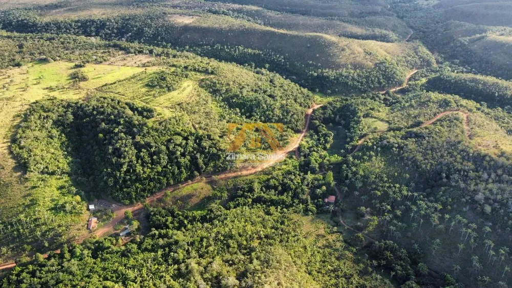 Fazenda, 48 hectares - Foto 2