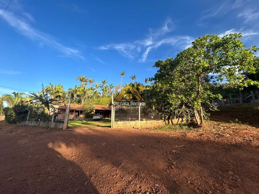 Fazenda, 48 hectares - Foto 6