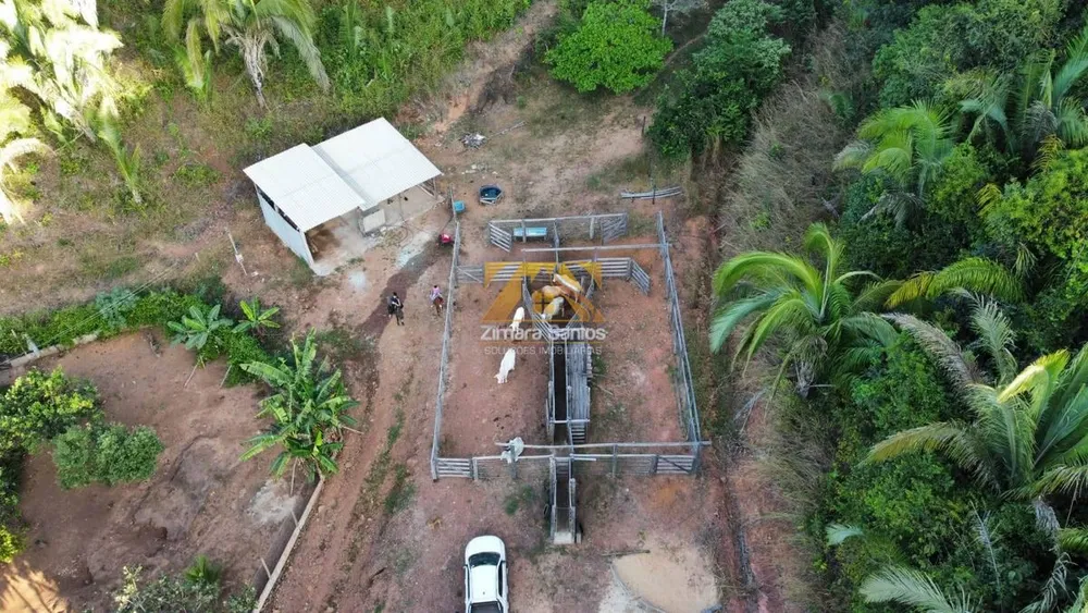 Fazenda, 48 hectares - Foto 4