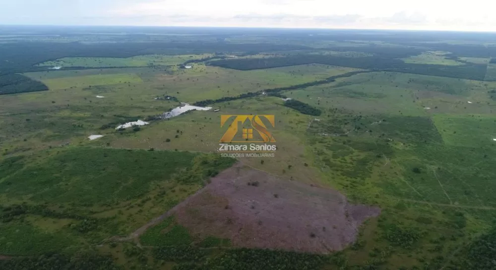 Fazenda à venda com 6 quartos, 1m² - Foto 4